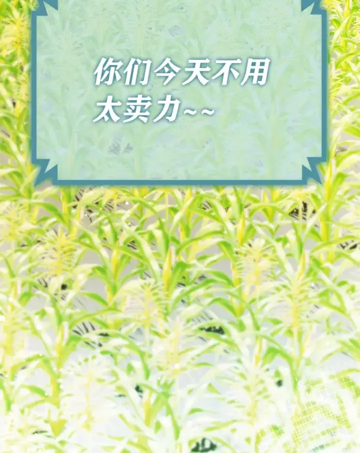《靠手艺红出圈的糊团爱豆》23.快乐干农活图8
