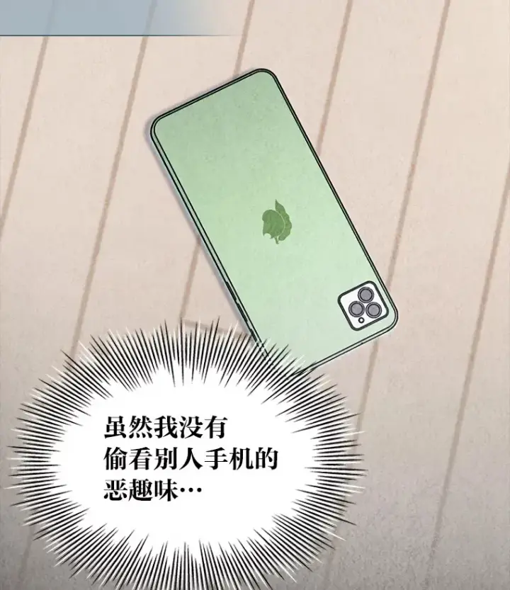 《靠手艺红出圈的糊团爱豆》31.柳透明人图42