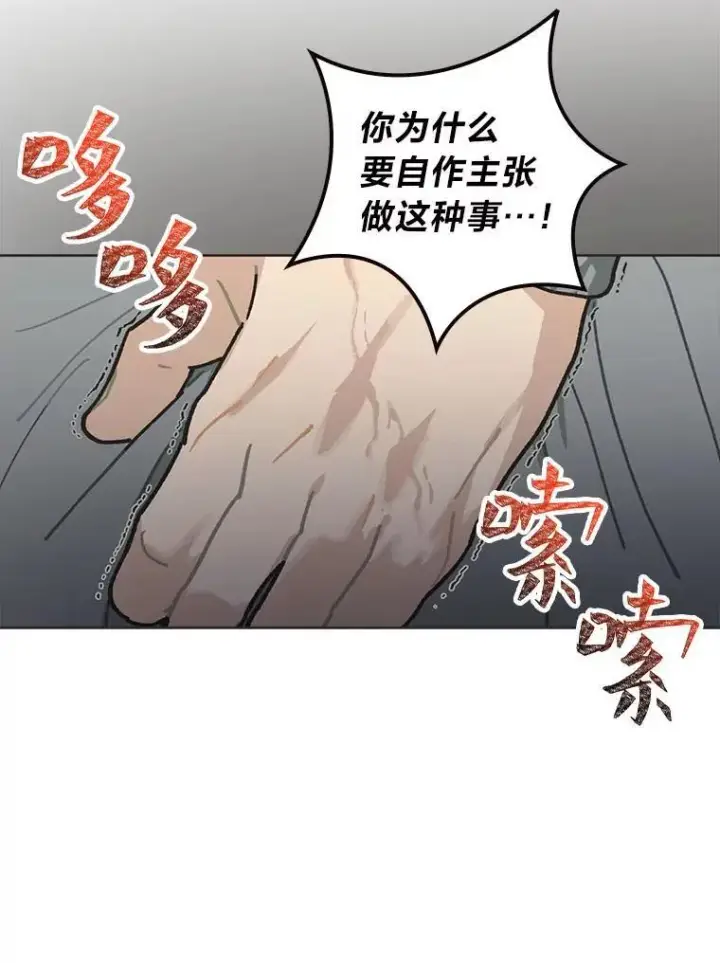 《靠手艺红出圈的糊团爱豆》39.帮助柳景华图52