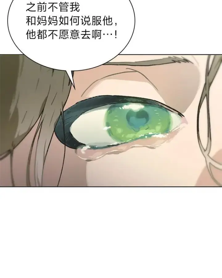 《靠手艺红出圈的糊团爱豆》39.帮助柳景华图60