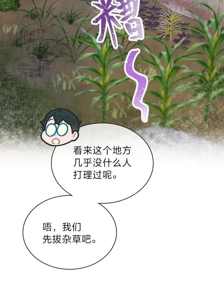《靠手艺红出圈的糊团爱豆》45.拍摄自制综艺图43