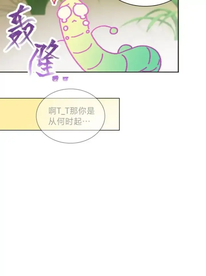 《靠手艺红出圈的糊团爱豆》45.拍摄自制综艺图52