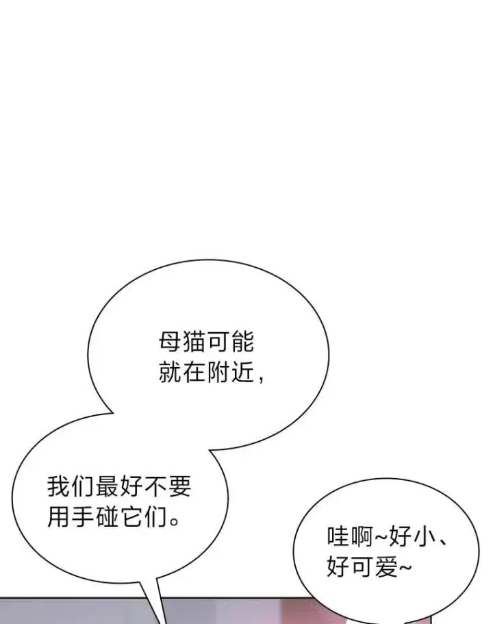 《靠手艺红出圈的糊团爱豆》46.第一顿饭图20