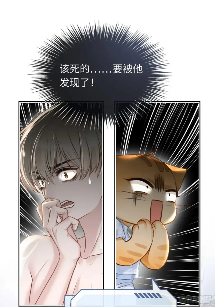 《快穿：上瘾关系》07 兔兔被表白了？！图10