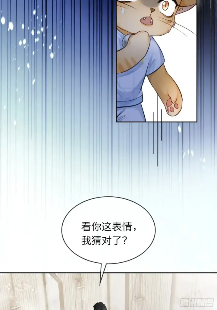 《快穿：上瘾关系》07 兔兔被表白了？！图7
