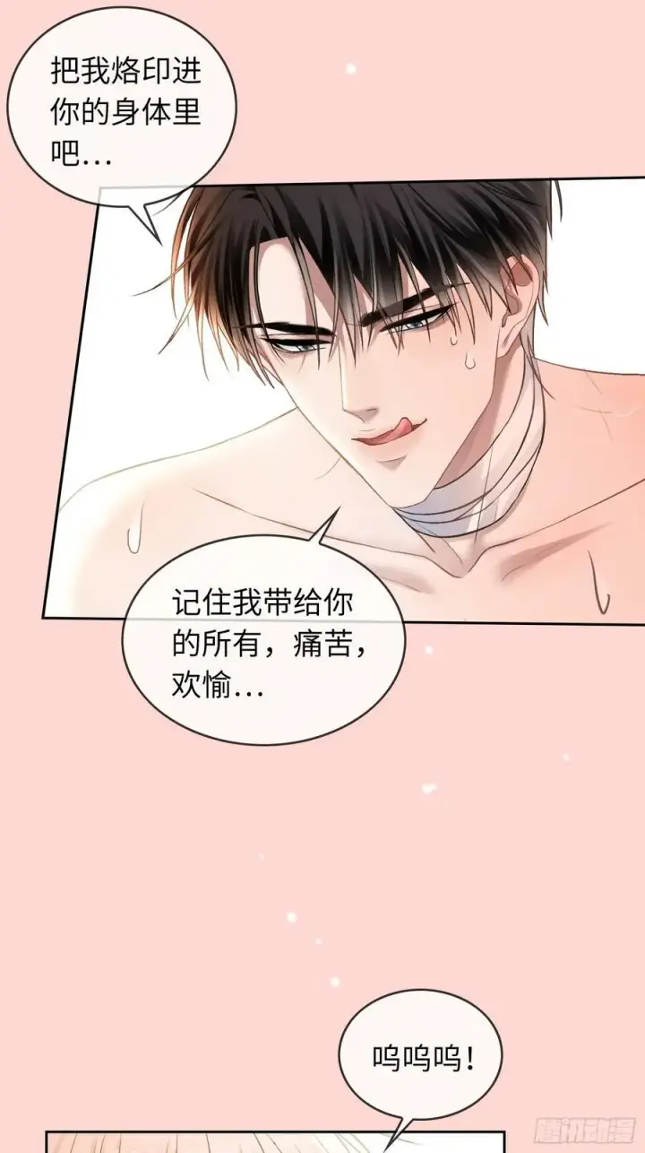《快穿：上瘾关系》15 最后的任务图30
