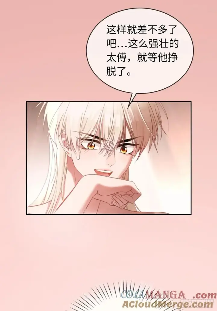 《快穿：上瘾关系》17 禁欲太傅别想逃图25