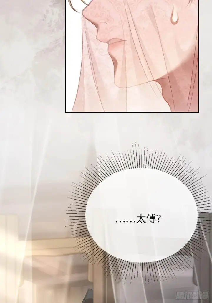《快穿：上瘾关系》23 太傅他叫我“主人”？！图54