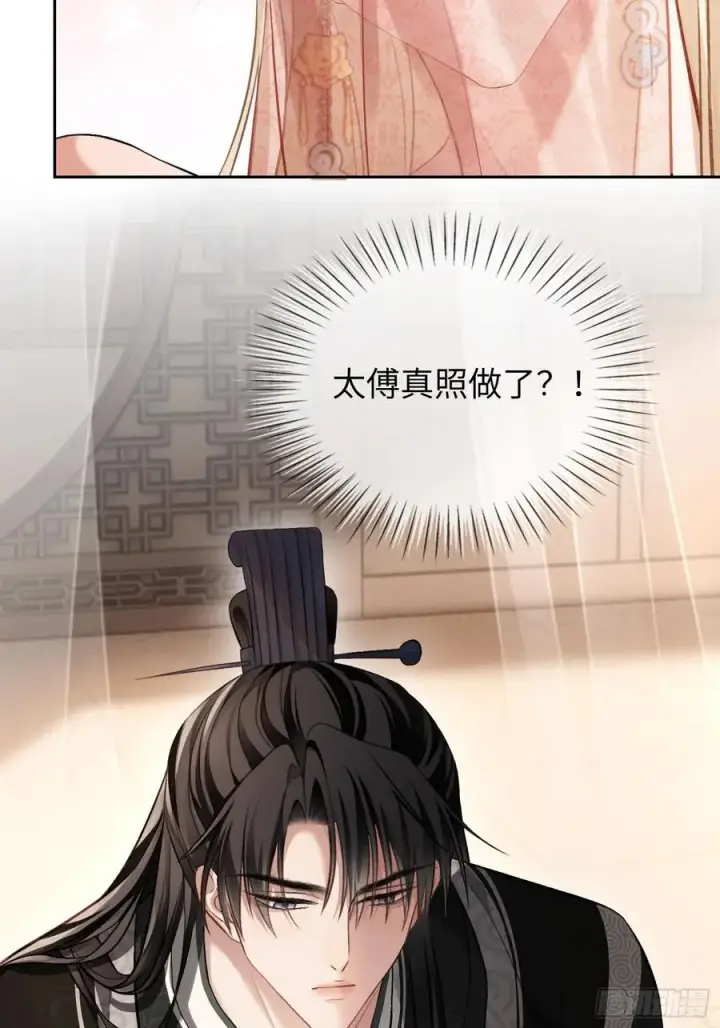 漫画《快穿：上瘾关系》24 太傅变猫猫了？！第12张图