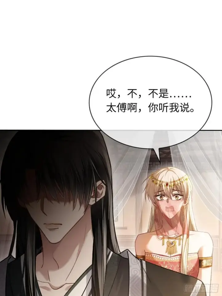 《快穿：上瘾关系》25 选太子妃图14