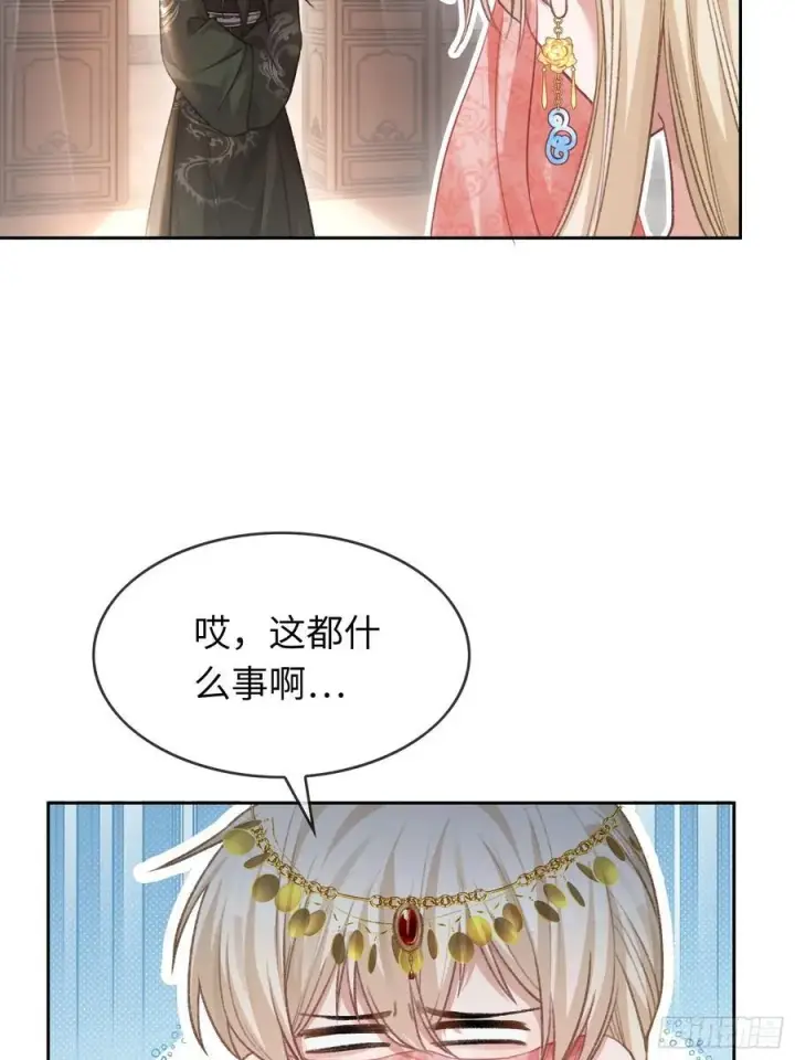 《快穿：上瘾关系》25 选太子妃图17