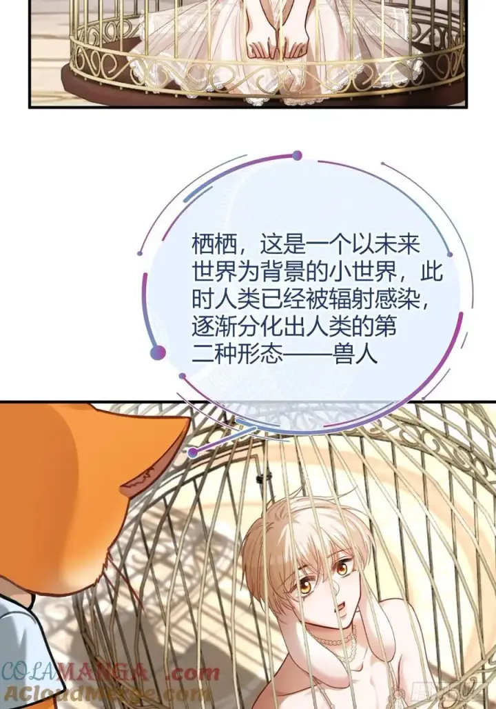 《快穿：上瘾关系》39 兔兔成了拍卖品？！图13