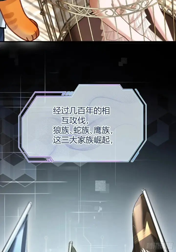 《快穿：上瘾关系》39 兔兔成了拍卖品？！图14
