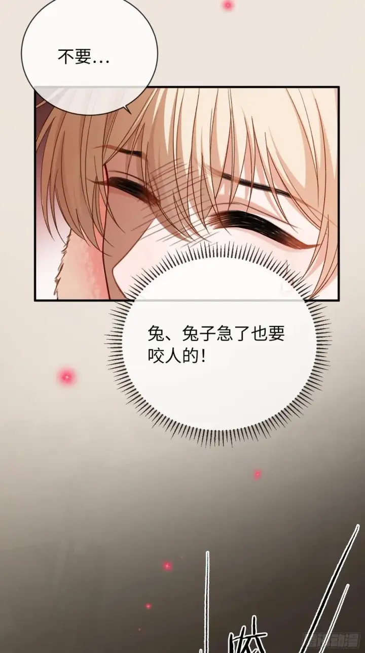 《快穿：上瘾关系》41 兔子急了也咬人图15