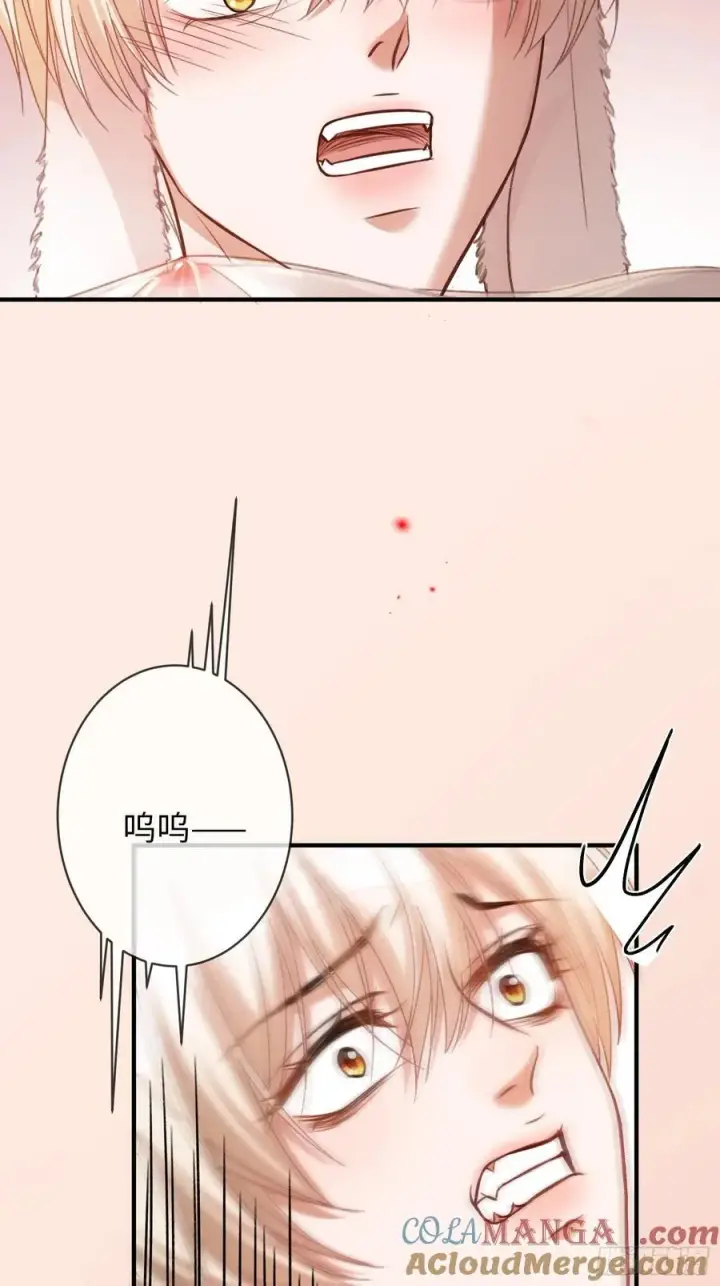 《快穿：上瘾关系》41 兔子急了也咬人图40