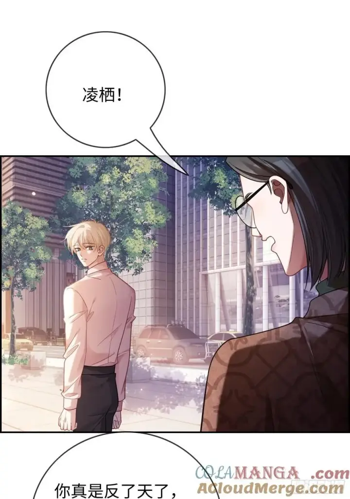 《快穿：上瘾关系》68 兔兔上贼船图40