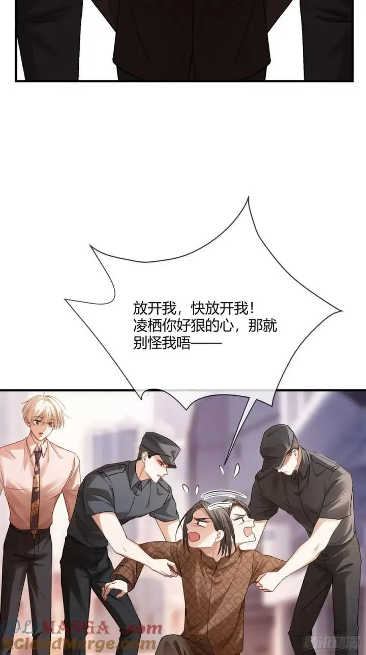 《快穿：上瘾关系》69 危机来袭图21