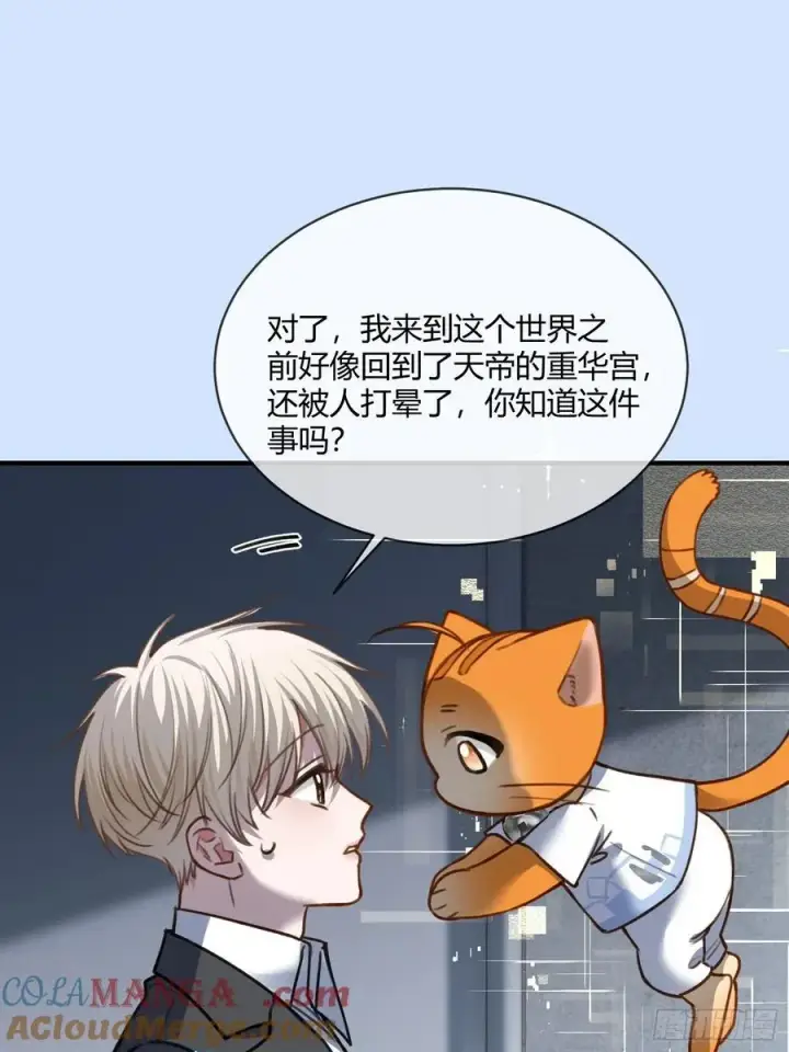 《快穿：上瘾关系》98 熟悉的陌生人图13