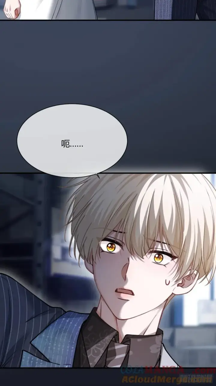 《快穿：上瘾关系》104 夜袭图13