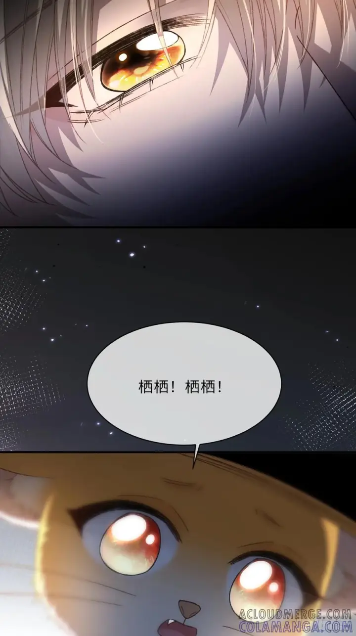 《快穿：上瘾关系》136话 新世界开启图7