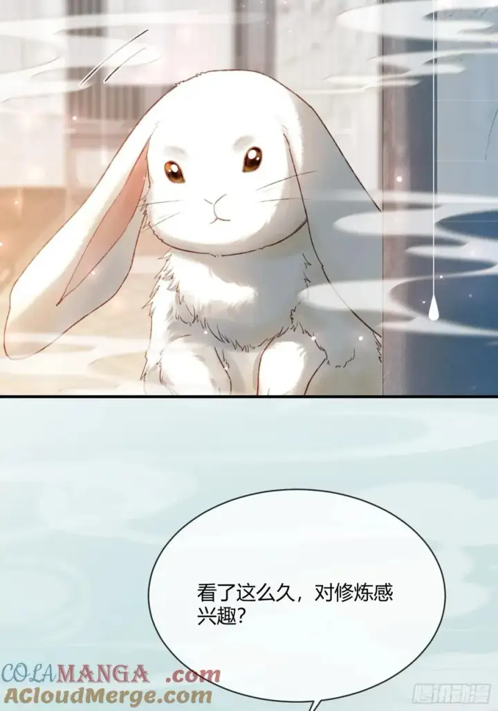 《快穿：上瘾关系》119 情劫图34