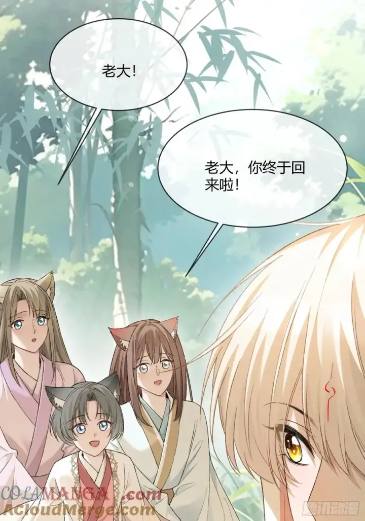 《快穿：上瘾关系》131 毛茸茸大聚会图28
