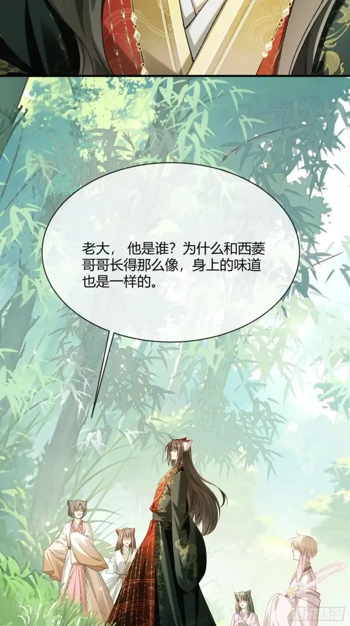 《快穿：上瘾关系》131 毛茸茸大聚会图33