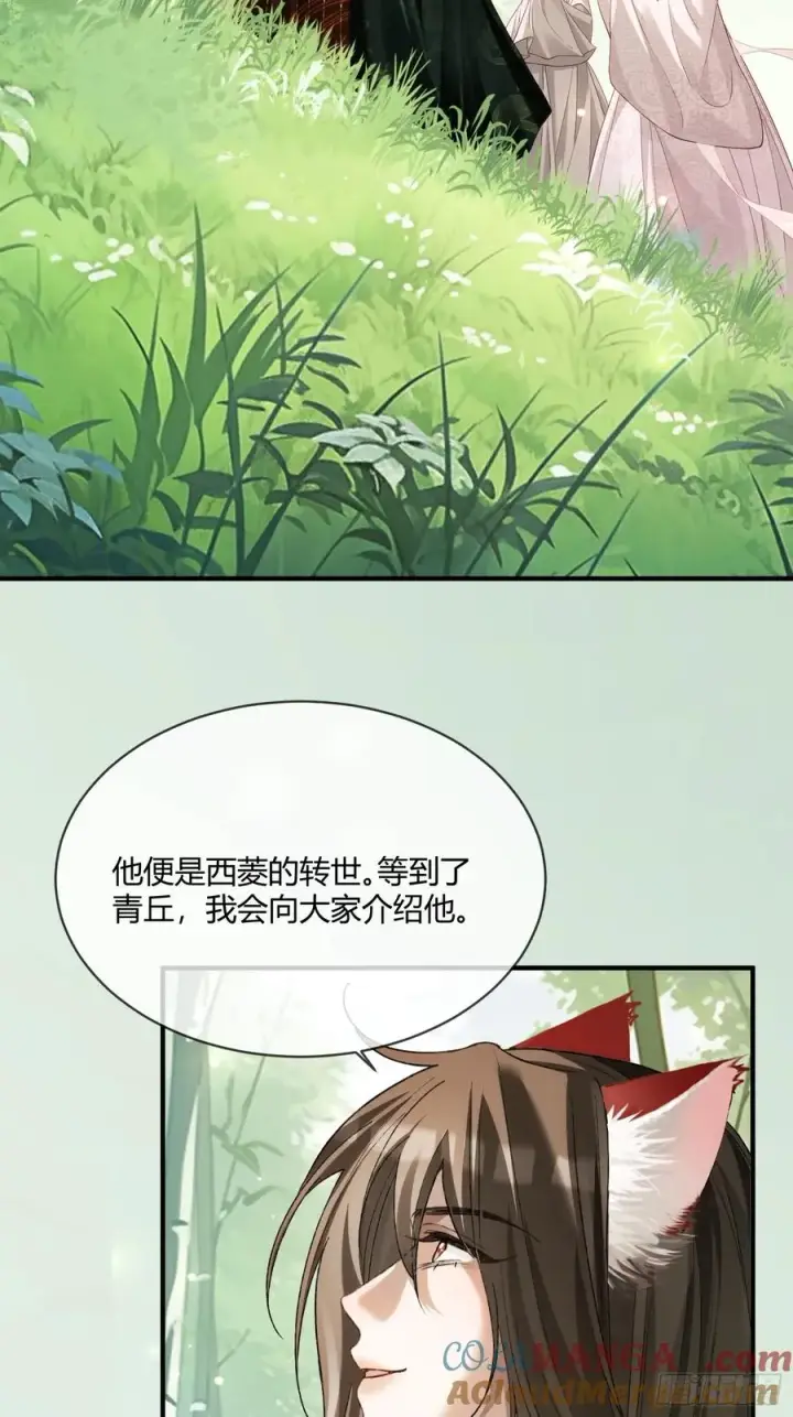《快穿：上瘾关系》131 毛茸茸大聚会图34