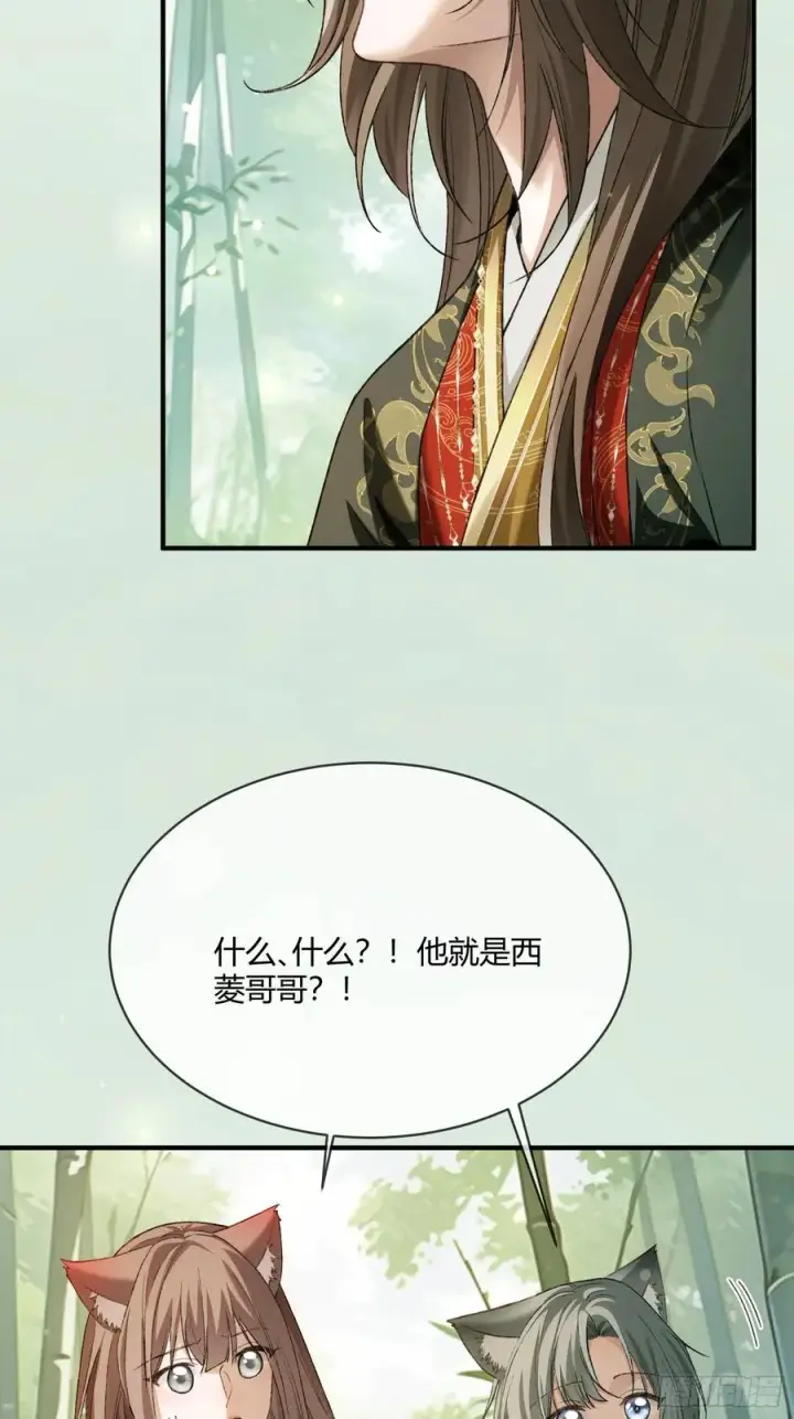《快穿：上瘾关系》131 毛茸茸大聚会图35