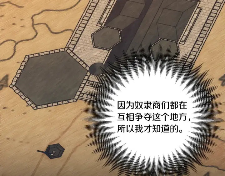 《掠夺婚姻》第31话 异域美男图141