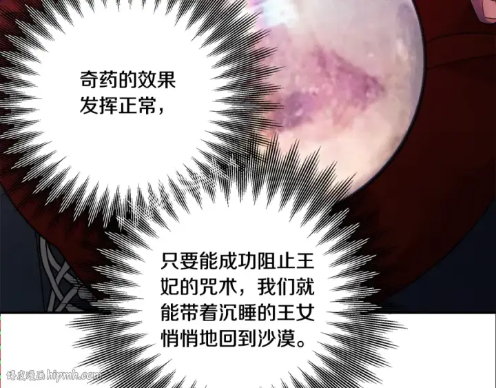 漫画《掠夺婚姻》第51话 王妃的玩偶第144张图