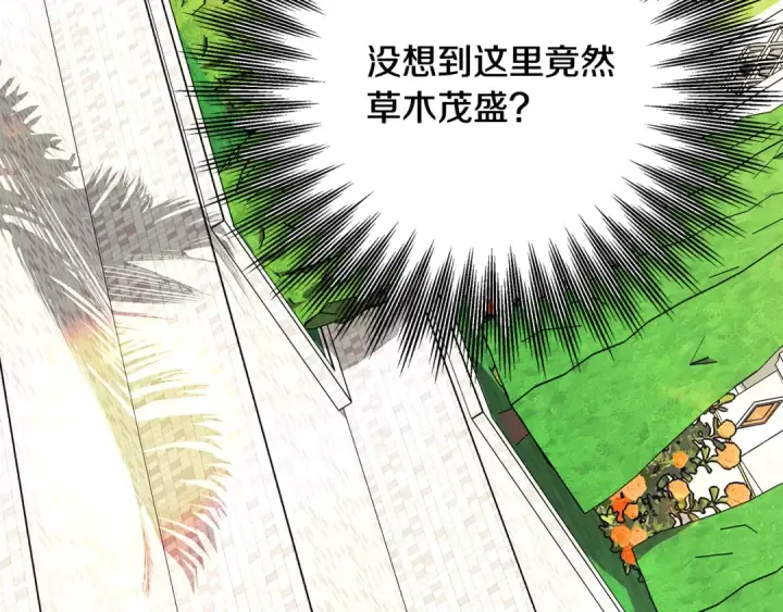 《掠夺婚姻》第62话 我想当你的新娘图185