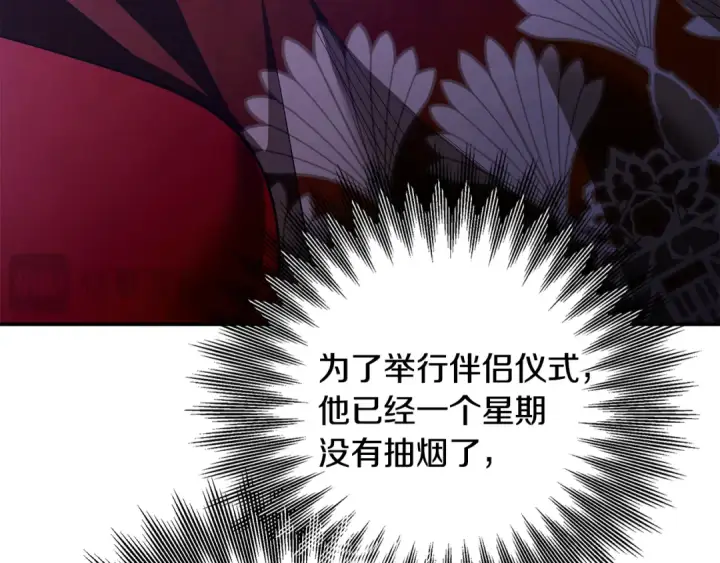 《掠夺婚姻》第74话 新婚之夜图37