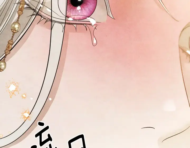 漫画《掠夺婚姻》完结话 再次回到艾斯提尔国第100张图