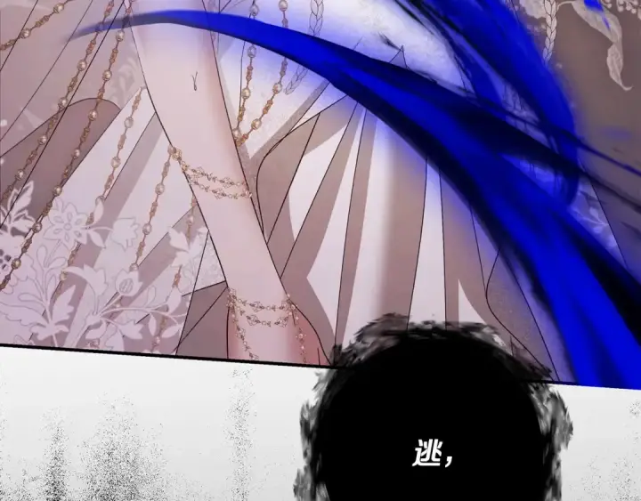 漫画《掠夺婚姻》完结话 再次回到艾斯提尔国第23张图