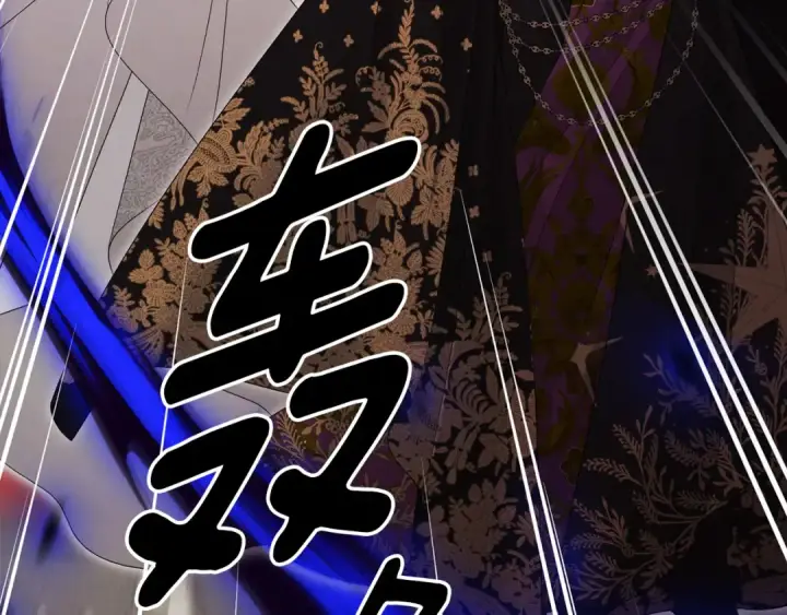 漫画《掠夺婚姻》完结话 再次回到艾斯提尔国第38张图