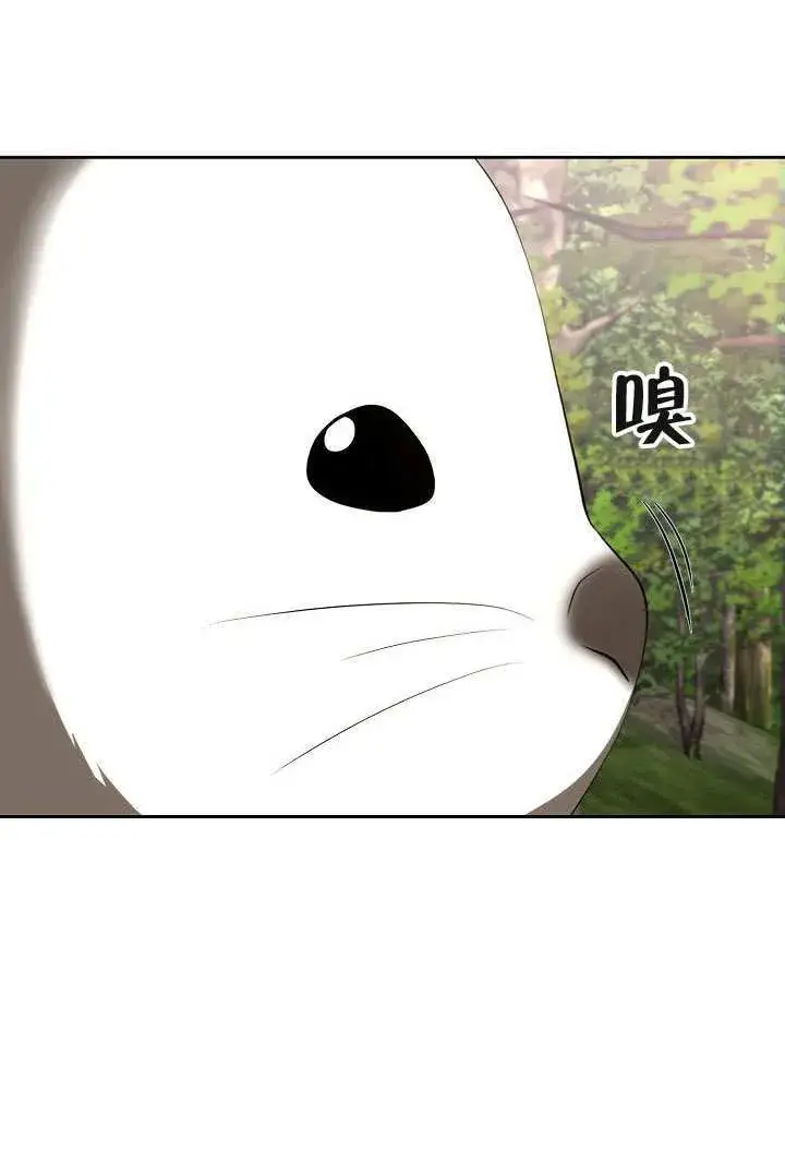漫画《离婚是条件》第47话第29张图