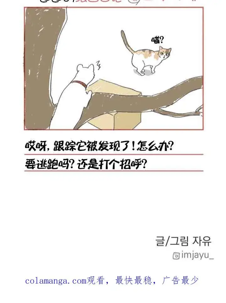 《灵药魔女》第48话图80