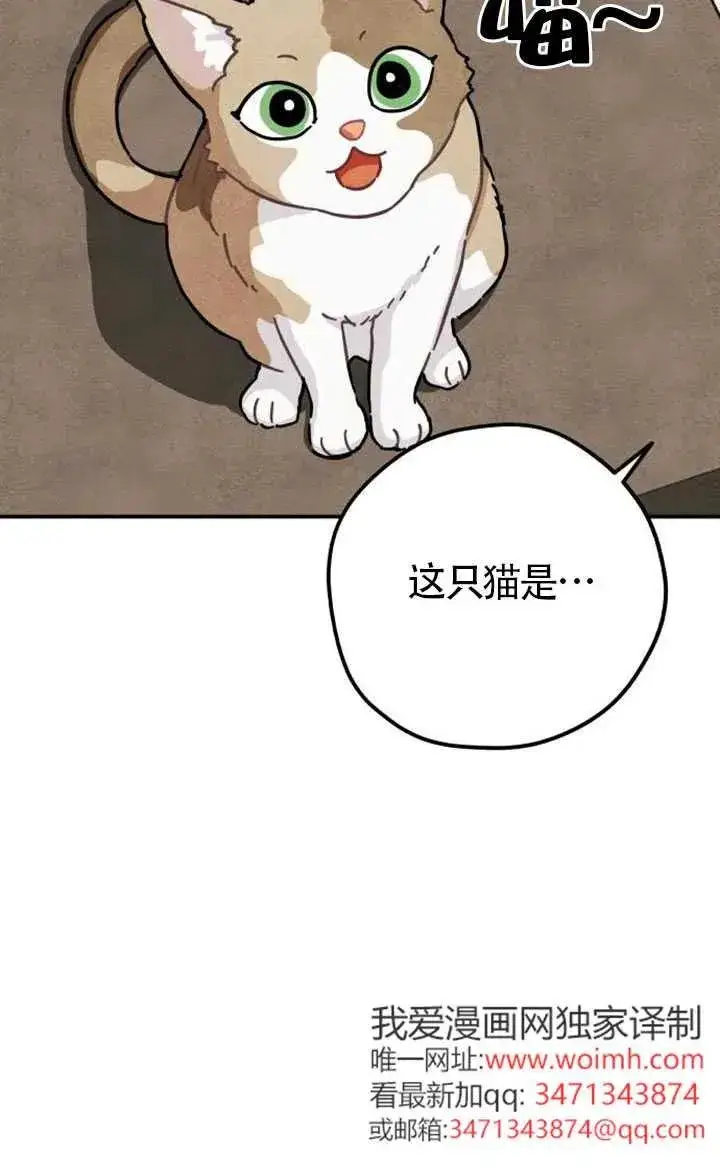 《灵药魔女》第85话图4