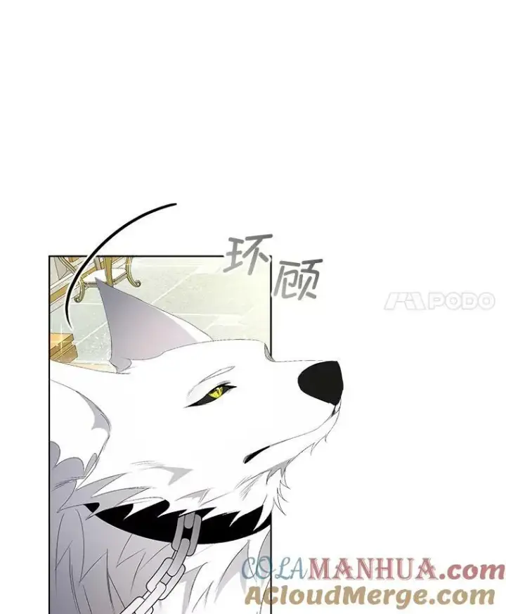 《临时保护我方男主》3.训练图4