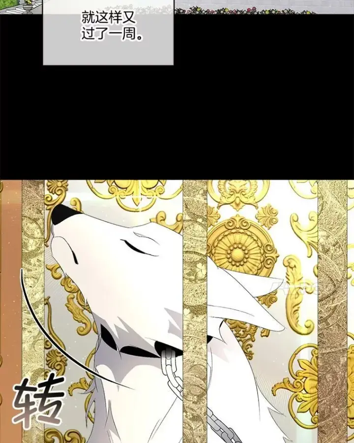 《临时保护我方男主》4.夏夏逃脱图21