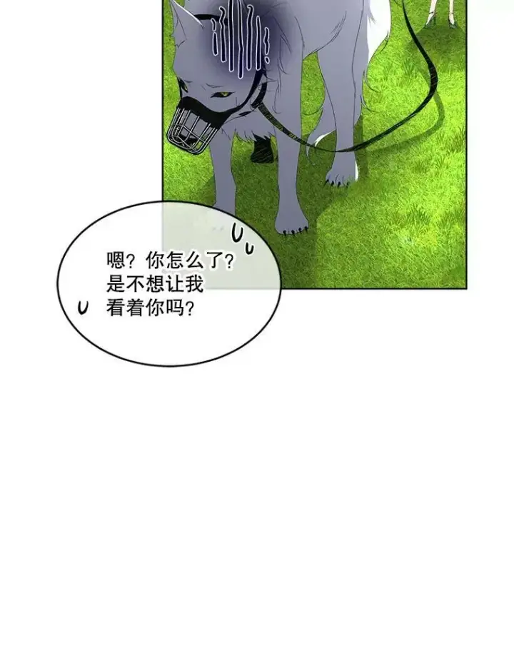 漫画《临时保护我方男主》6.乌鸦第23张图