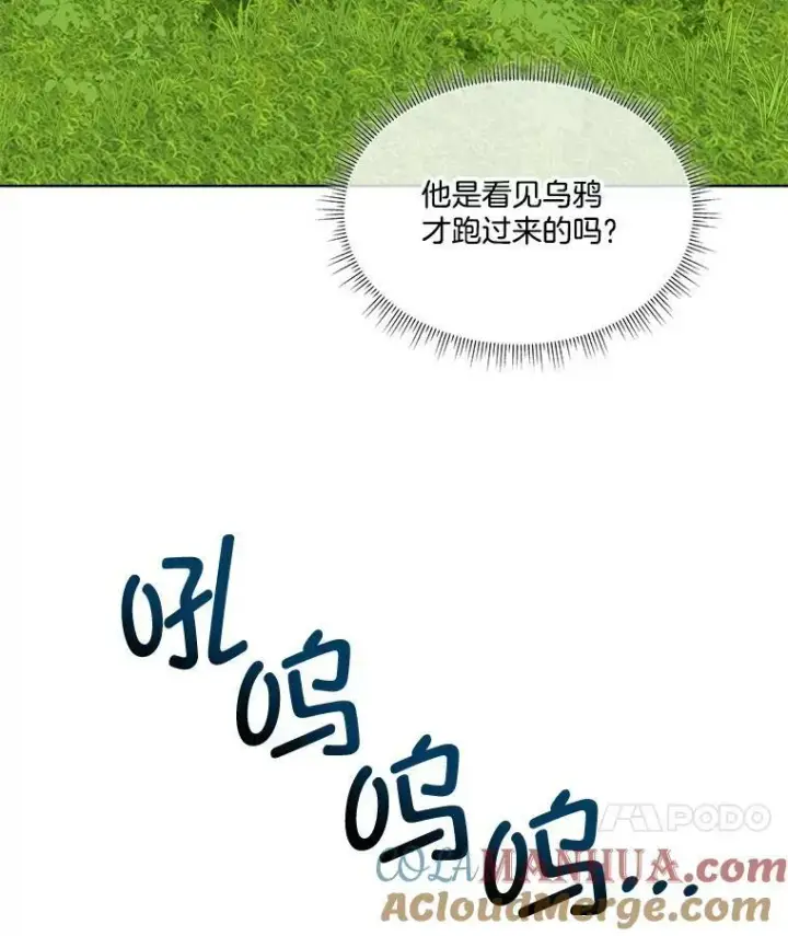 漫画《临时保护我方男主》6.乌鸦第37张图