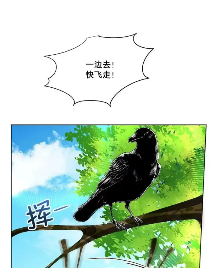 漫画《临时保护我方男主》6.乌鸦第42张图