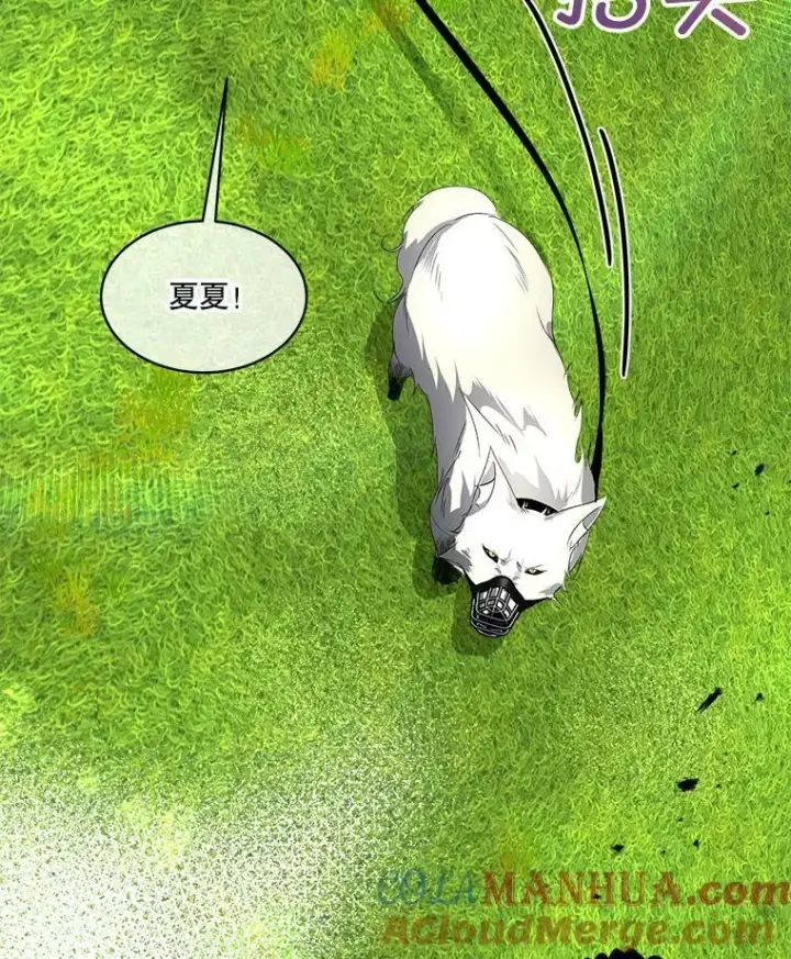 漫画《临时保护我方男主》6.乌鸦第53张图