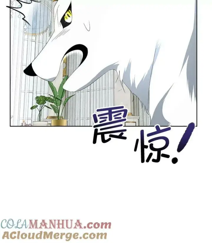 漫画《临时保护我方男主》12.神秘力量第113张图
