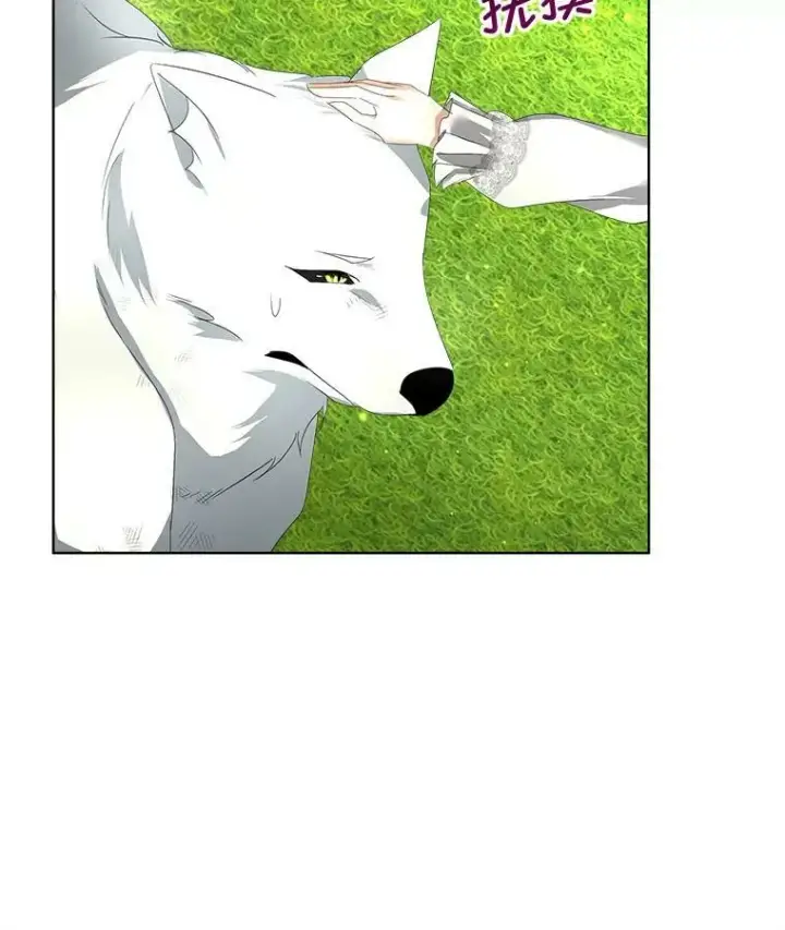 漫画《临时保护我方男主》12.神秘力量第96张图
