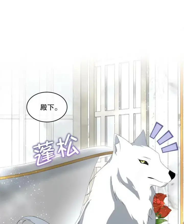 漫画《临时保护我方男主》13.莱纳德第66张图