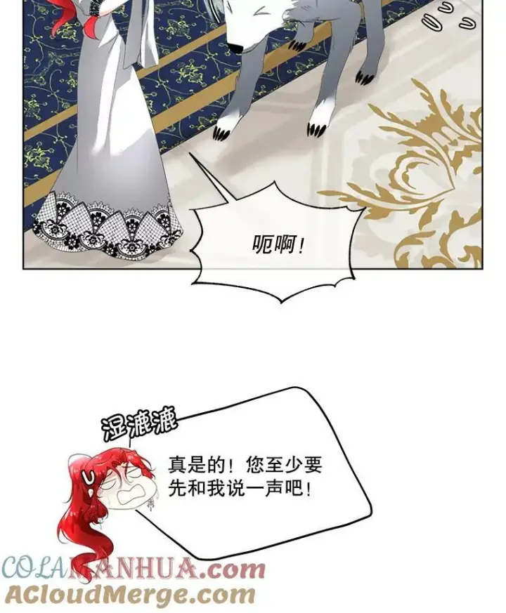 漫画《临时保护我方男主》13.莱纳德第9张图