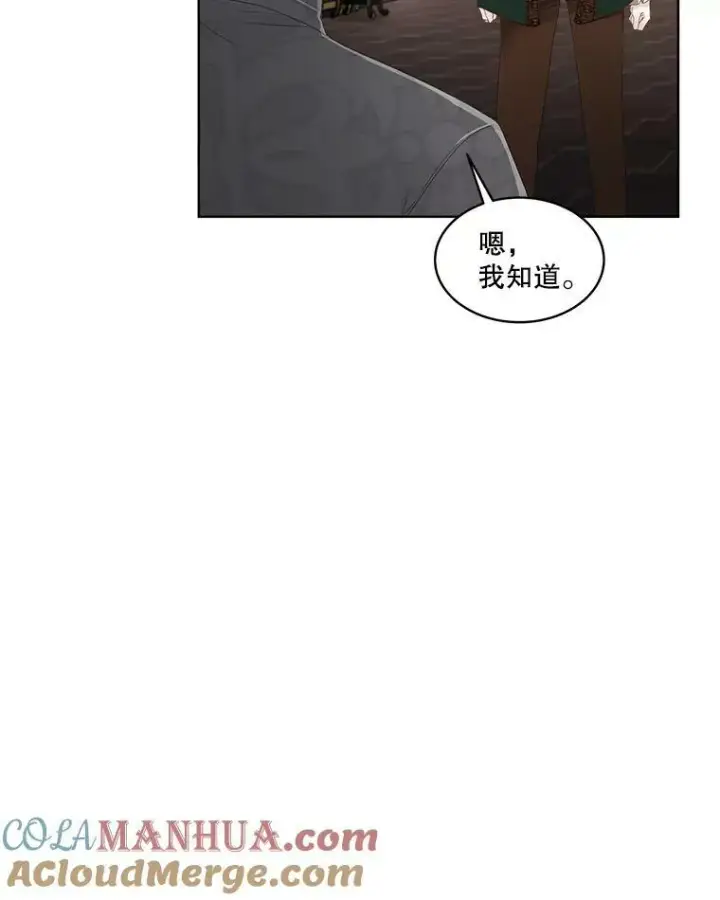 漫画《临时保护我方男主》32.皇太子变骑士第85张图